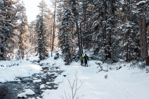 Le Col de la Colombière: Stunning Snowshoe Trails In Megeve