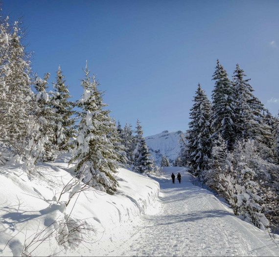 La beauté du sentier raquettes des Monts d'Arbois à Megève