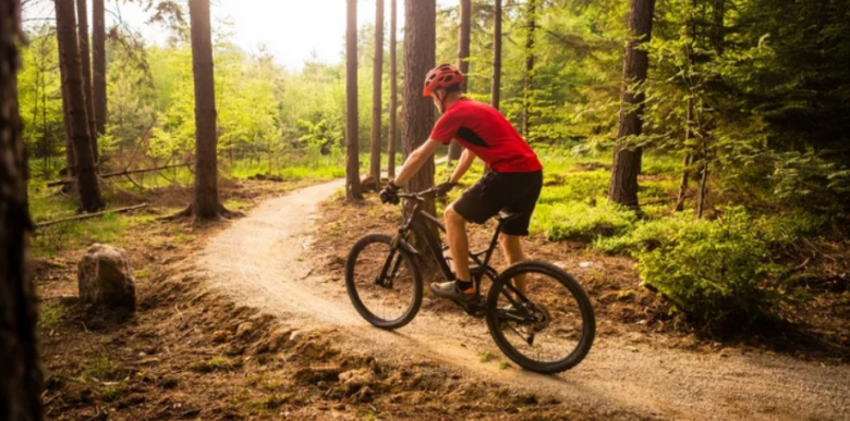 Tips for choosing a mountain bike